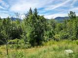  Parker Ridge Road - Photo 10