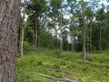 0 Denio Road - Photo 12