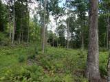 0 Denio Road - Photo 13