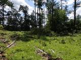 0 Denio Road - Photo 16