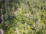 0 Denio Road - Photo 4
