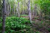 00 Evergreen Acres - Photo 5