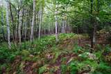 00 Evergreen Acres - Photo 6