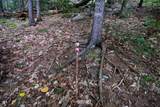 00 Evergreen Acres - Photo 8