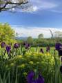 26 Carter Road - Photo 40