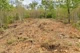 0 Long Stack Lane - Photo 6