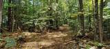R5-20-1 266 Francestown Road - Photo 4