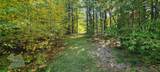 R5-20-1 266 Francestown Road - Photo 5