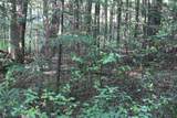 00 Miles Pond Road - Photo 6