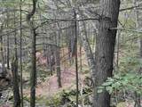 81 Parish Hill Road - Photo 34