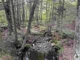 81 Parish Hill Road - Photo 43