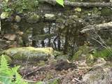 81 Parish Hill Road - Photo 48