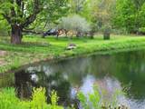 364 Coits Pond Road - Photo 43