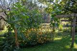 364 Coits Pond Road - Photo 50