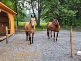 364 Coits Pond Road - Photo 8