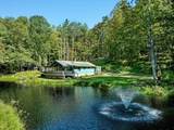 233 Hollow Hideaway Road - Photo 53