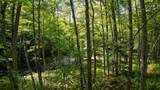 0 Camp Road - Photo 15