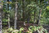 Lot 56-3 Ossipee Mountain Road - Photo 4