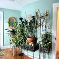 15 Rich Street - Photo 29