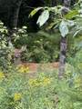 Lots 3 & 4 Pawtuckaway Road - Photo 2