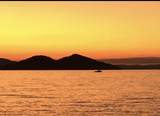 120 Big Barndoor Island - Photo 45