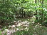 Lot 5-2-1 Jesus Valley Road - Photo 9