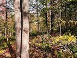 00 Duck Pond Road - Photo 4