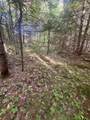 0 Thorn Hill Road - Photo 5