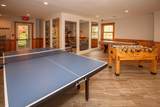 38B Greensprings Road - Photo 59