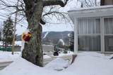 13 Maple Street - Photo 24