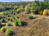113 Buck Ridge Road - Photo 4