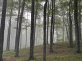 2769 Cloudland Road - Photo 56