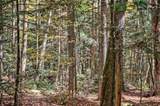 442 Vt Route 12 - Photo 7
