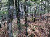  Abnaki Trail - Photo 18