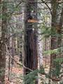  Abnaki Trail - Photo 4