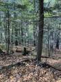 Abnaki Trail - Photo 8