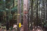 Lot 185 Hanover Drive - Photo 9