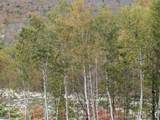90 Loon Mountain Road - Photo 22