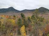 90 Loon Mountain Road - Photo 24