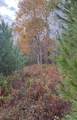 Lot 4 Catterall Road - Photo 4