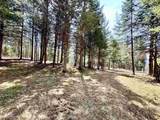 TBD Hollow Road - Photo 22
