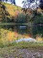 1372 Mud Pond Road - Photo 30