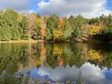 1372 Mud Pond Road - Photo 31