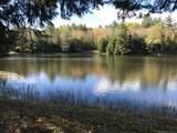 1372 Mud Pond Road - Photo 41