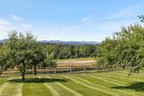 650 Francis Road - Photo 59