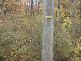 M2-l29-9 Province Road - Photo 2