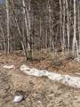 0 Alden Washburn Drive - Photo 4