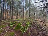 10 Hampshire Hill Road - Photo 16