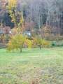 476 Missing Link Road - Photo 4