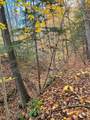 476 Missing Link Road - Photo 5